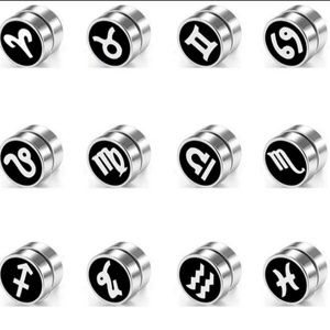 Titanium zodiac magnetic earrings